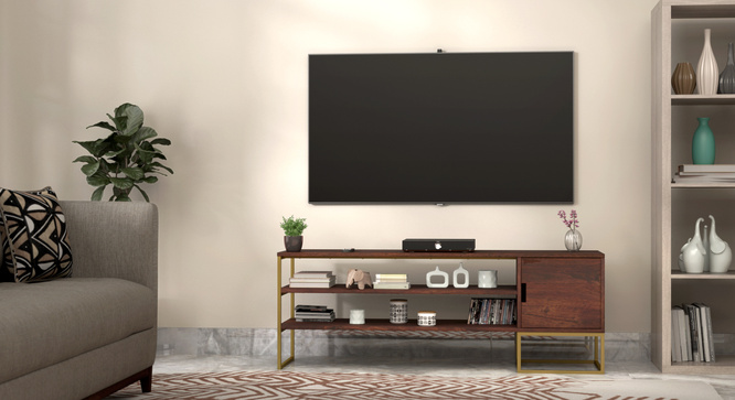 Bautista TV Unit